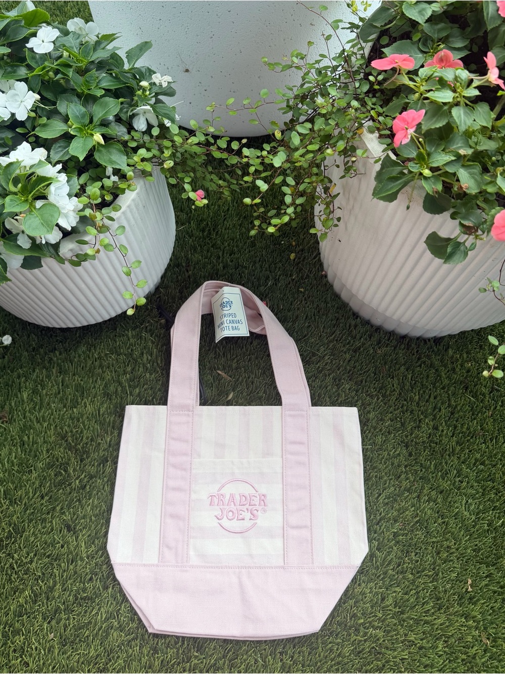 💗 Trader Joe’s Summer 2026 Striped Mini Canvas Tote – Pale Pink | NWT |Viral